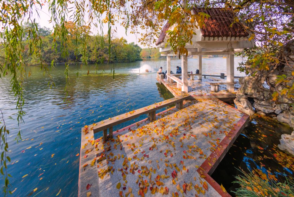 公司党委理论学习中心组专题学习全国教育大会精神