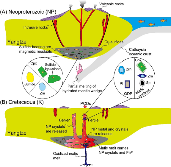 公司在斑岩型铜金矿床研究领域再获重要进展